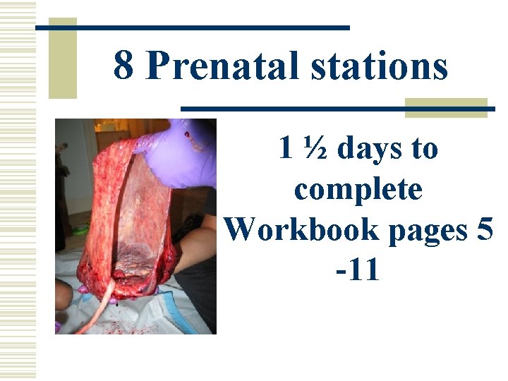 8 Prenatal stations 1 ½ days to complete Workbook pages 5 -11 