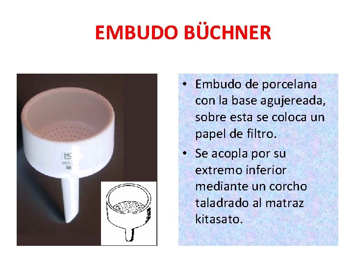 EMBUDO BÜCHNER • Embudo de porcelana con la base agujereada, sobre esta se coloca