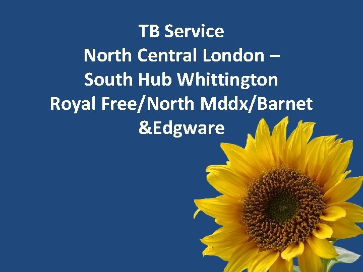 TB Service North Central London – South Hub Whittington Royal Free/North Mddx/Barnet &Edgware 