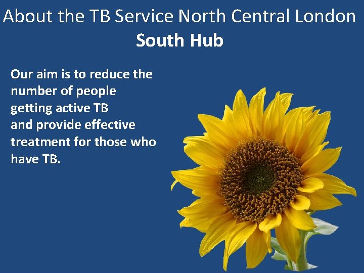 About the TB Service North Central London South Hub Our aim is to reduce