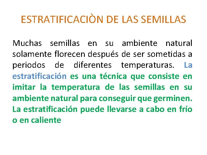 ESTRATIFICACIÒN DE LAS SEMILLAS Muchas semillas en su ambiente natural solamente florecen después de
