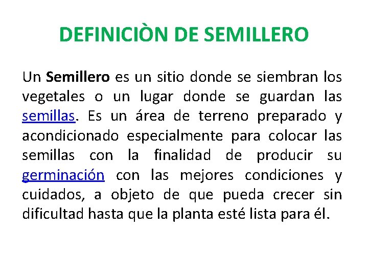 DEFINICIÒN DE SEMILLERO Un Semillero es un sitio donde se siembran los vegetales o