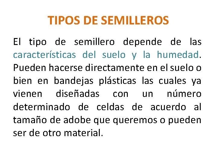 TIPOS DE SEMILLEROS El tipo de semillero depende de las características del suelo y
