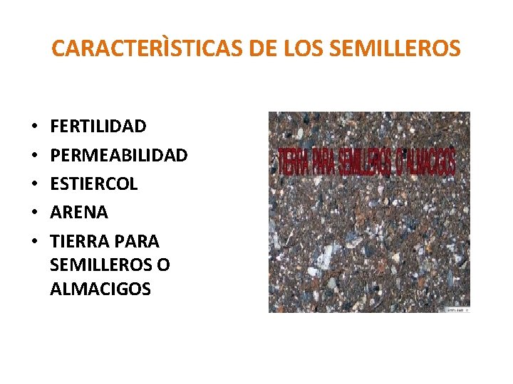 CARACTERÌSTICAS DE LOS SEMILLEROS • • • FERTILIDAD PERMEABILIDAD ESTIERCOL ARENA TIERRA PARA SEMILLEROS