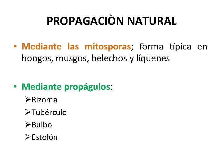 PROPAGACIÒN NATURAL • Mediante las mitosporas; forma típica en hongos, musgos, helechos y líquenes
