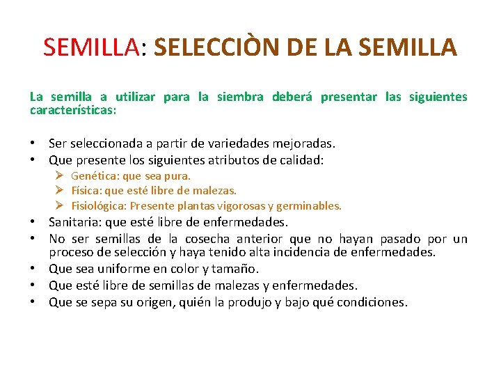 SEMILLA: SELECCIÒN DE LA SEMILLA La semilla a utilizar para la siembra deberá presentar