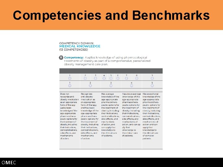 Competencies and Benchmarks OMEC 
