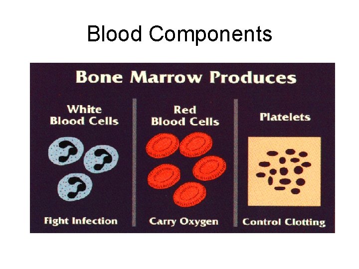 Blood Components 