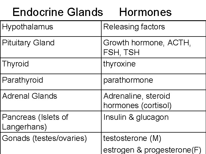 Endocrine Glands Hormones Hypothalamus Releasing factors Pituitary Gland Thyroid Growth hormone, ACTH, FSH, TSH