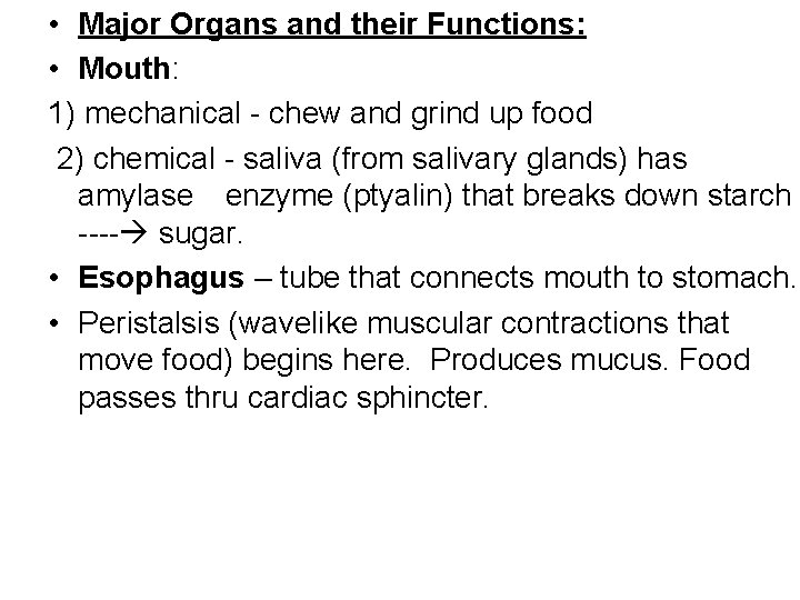  • Major Organs and their Functions: • Mouth: 1) mechanical - chew and