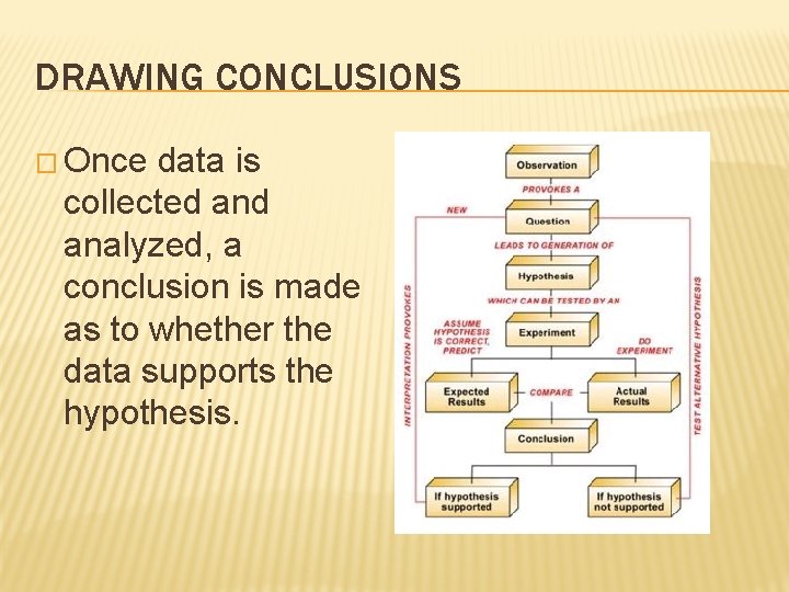 DRAWING CONCLUSIONS � Once data is collected analyzed, a conclusion is made as to