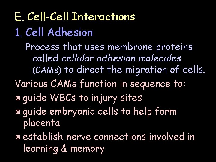 E. Cell-Cell Interactions 1. Cell Adhesion Process that uses membrane proteins called cellular adhesion