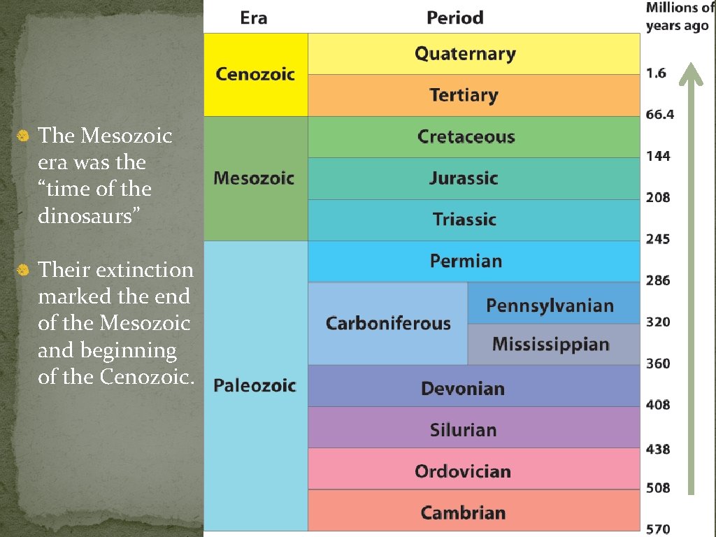 The Mesozoic era was the “time of the dinosaurs” Their extinction marked the end