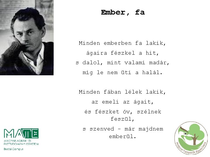 Ember, fa Minden emberben fa lakik, ágaira fészkel a hit, s dalol, mint valami