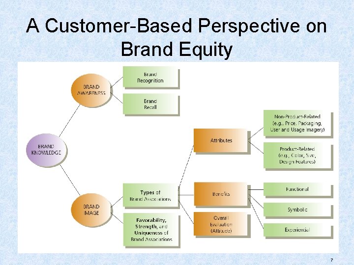A Customer-Based Perspective on Brand Equity 7 