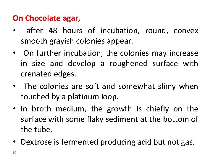 On Chocolate agar, • after 48 hours of incubation, round, convex smooth grayish colonies