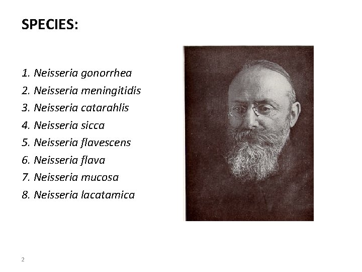 SPECIES: 1. Neisseria gonorrhea 2. Neisseria meningitidis 3. Neisseria catarahlis 4. Neisseria sicca 5.