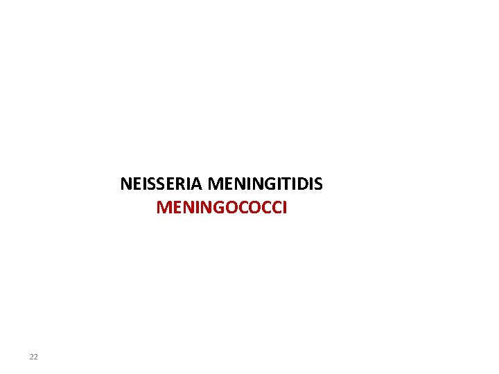 NEISSERIA MENINGITIDIS MENINGOCOCCI 22 