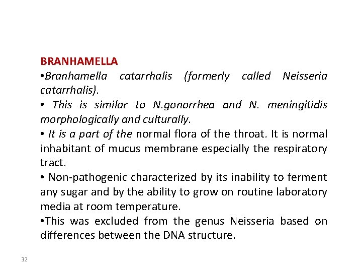 BRANHAMELLA • Branhamella catarrhalis (formerly called Neisseria catarrhalis). • This is similar to N.