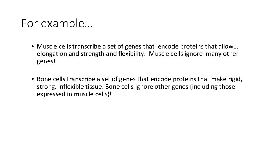 For example… • Muscle cells transcribe a set of genes that encode proteins that