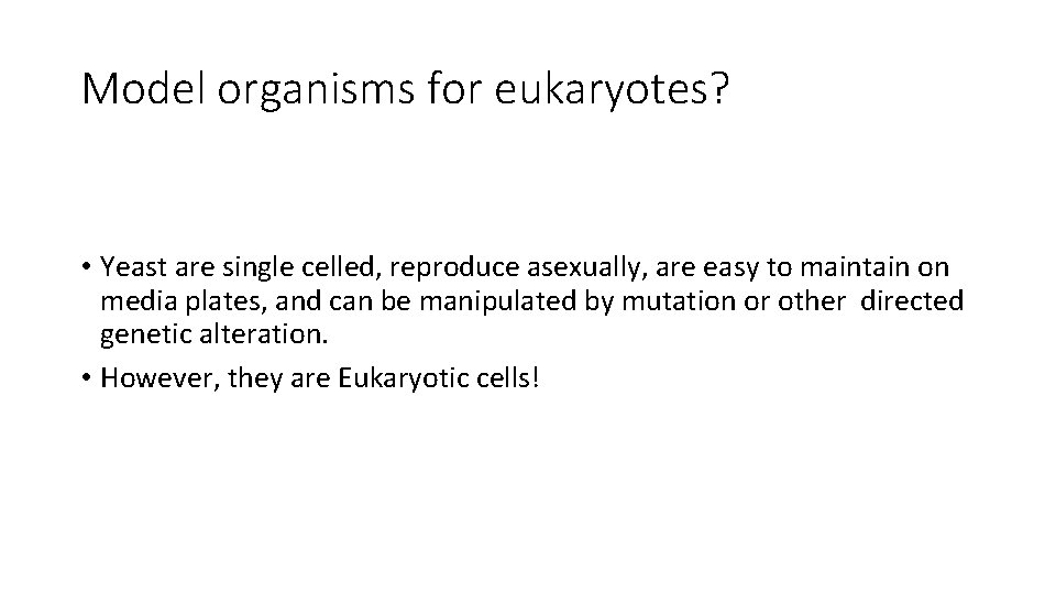 Model organisms for eukaryotes? • Yeast are single celled, reproduce asexually, are easy to