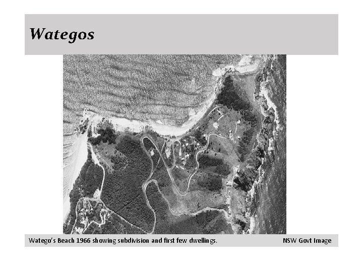 Wategos Watego’s Beach 1966 showing subdivision and first few dwellings. NSW Govt Image 