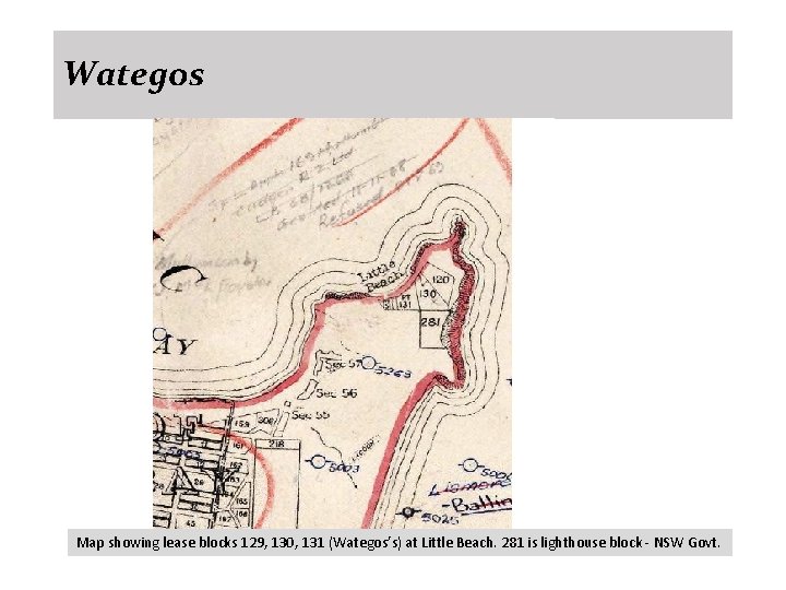 Wategos Map showing lease blocks 129, 130, 131 (Wategos’s) at Little Beach. 281 is