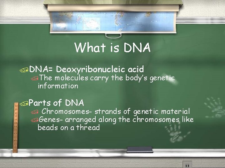 What is DNA /DNA= /The Deoxyribonucleic acid molecules carry the body’s genetic information /Parts