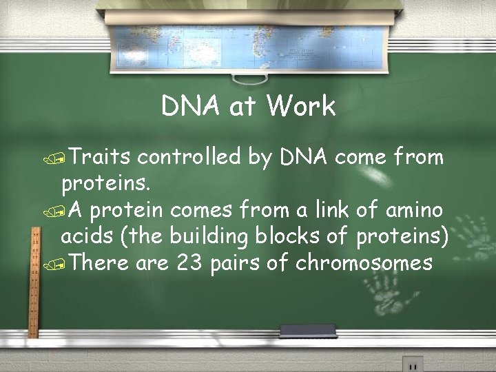 DNA at Work /Traits controlled by DNA come from proteins. /A protein comes from