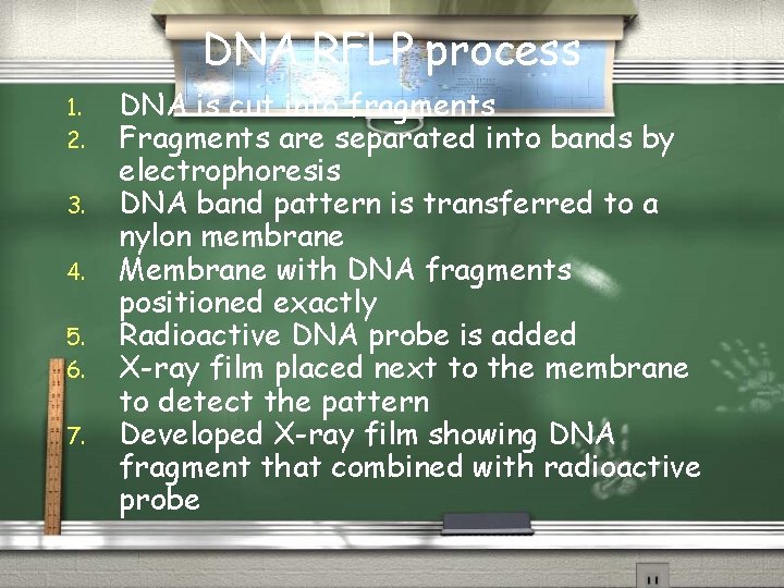 DNA RFLP process 1. 2. 3. 4. 5. 6. 7. DNA is cut into