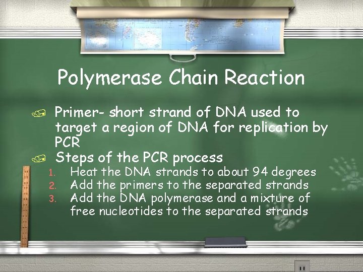 Polymerase Chain Reaction / / Primer- short strand of DNA used to target a Polymerase Chain Reaction / / Primer- short strand of DNA used to target a