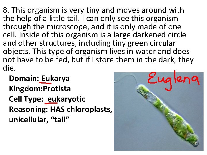 8. This organism is very tiny and moves around with the help of a 8. This organism is very tiny and moves around with the help of a