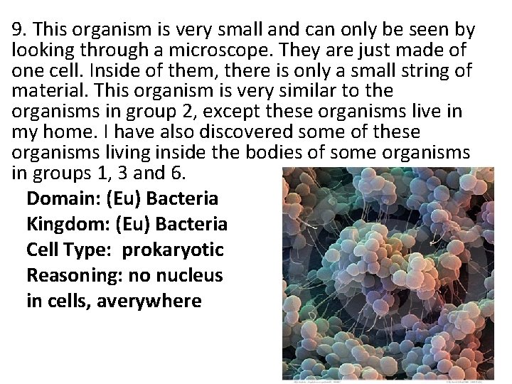 9. This organism is very small and can only be seen by looking through 9. This organism is very small and can only be seen by looking through