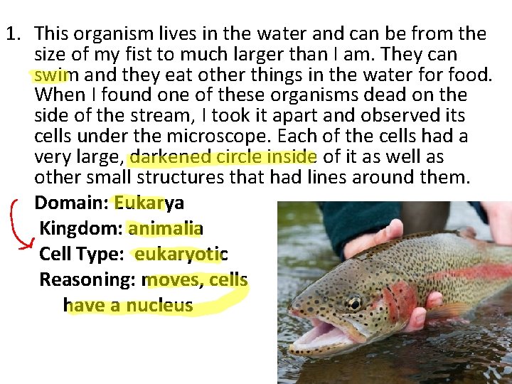 1. This organism lives in the water and can be from the size of 1. This organism lives in the water and can be from the size of