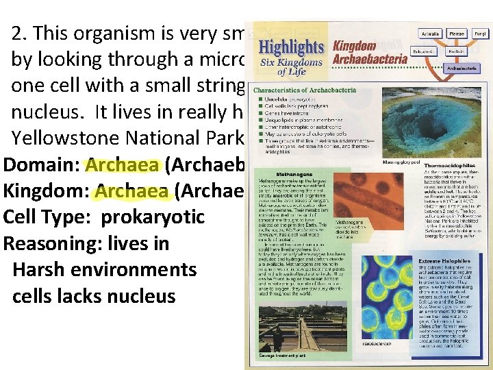 • 2. This organism is very small and can only be seen by • 2. This organism is very small and can only be seen by