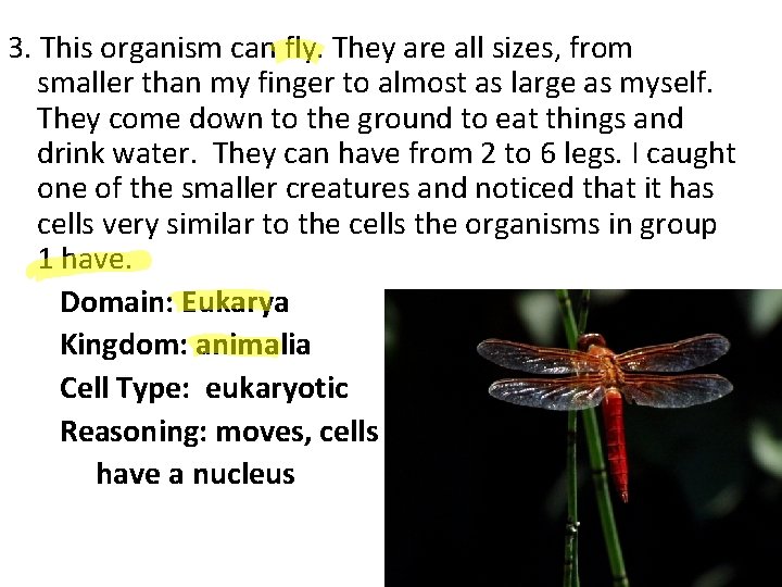 3. This organism can fly. They are all sizes, from smaller than my finger 3. This organism can fly. They are all sizes, from smaller than my finger