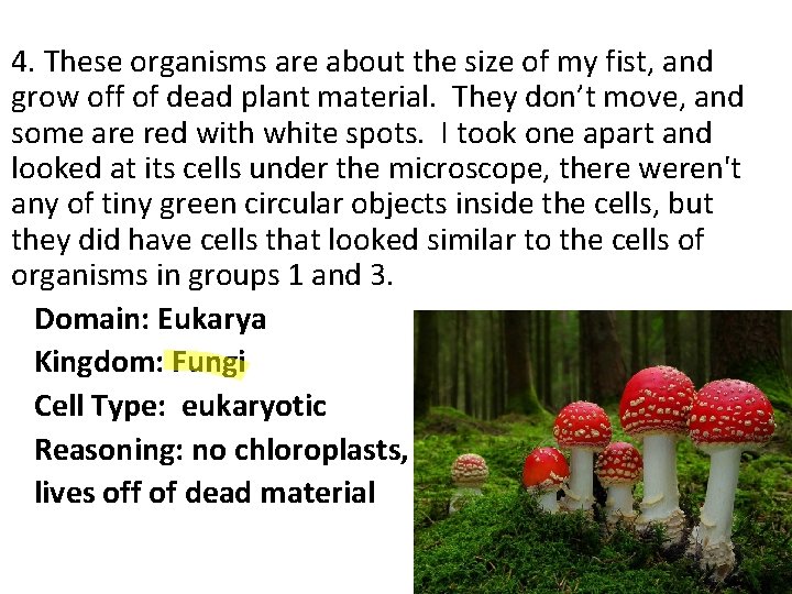4. These organisms are about the size of my fist, and grow off of 4. These organisms are about the size of my fist, and grow off of