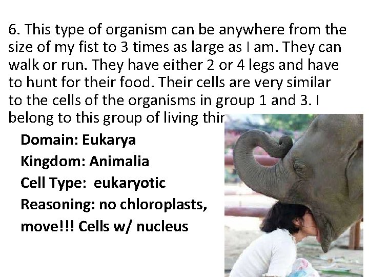 • 6. This type of organism can be anywhere from the size of • 6. This type of organism can be anywhere from the size of