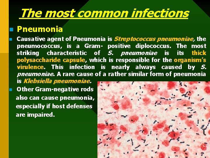 The most common infections n n n Pneumonia Causative agent of Pneumonia is Streptococcus