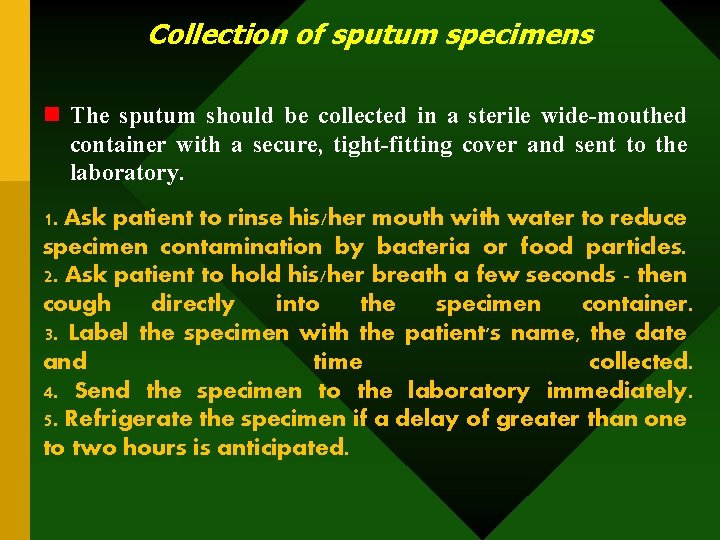 Collection of sputum specimens n The sputum should be collected in a sterile wide-mouthed