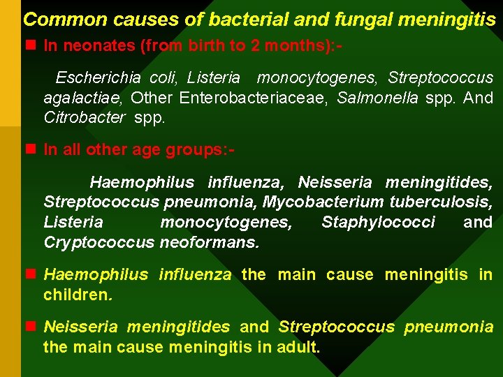 Common causes of bacterial and fungal meningitis n In neonates (from birth to 2