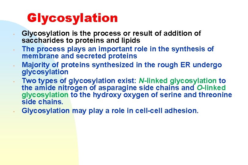 Glycosylation • • • Glycosylation is the process or result of addition of saccharides