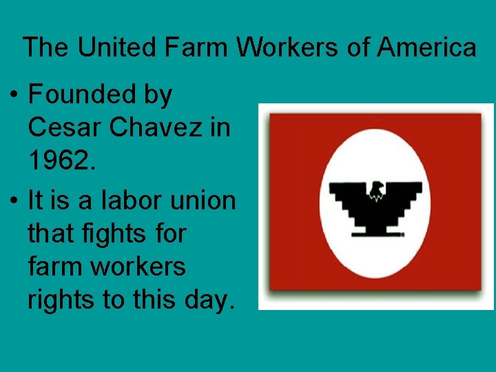 The United Farm Workers of America • Founded by Cesar Chavez in 1962. •