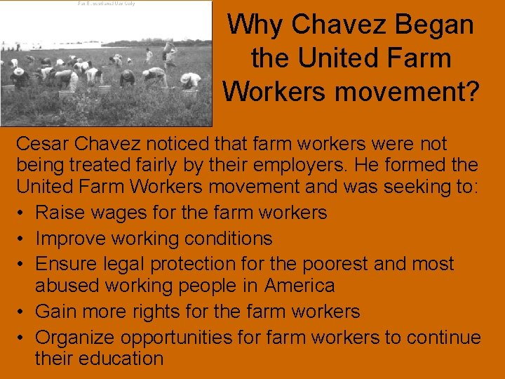 Why Chavez Began the United Farm Workers movement? Cesar Chavez noticed that farm workers
