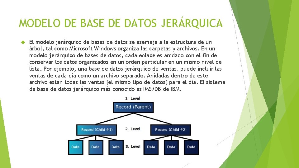 Modelo Jerárquico En Base De Datos slidetodoc.com