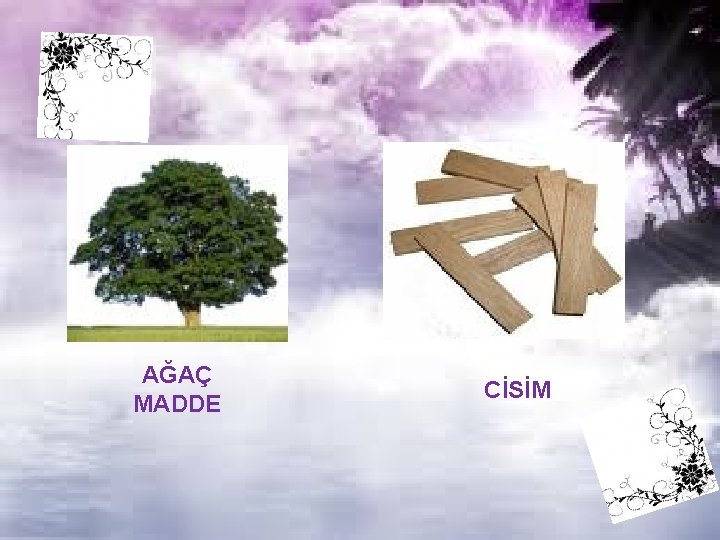 AĞAÇ MADDE CİSİM 