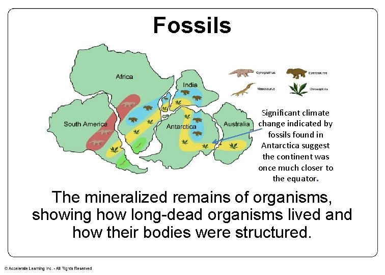 Fossils Significant climate change indicated by fossils found in Antarctica suggest the continent was
