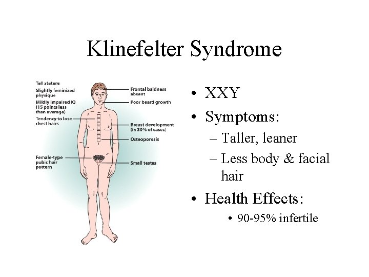Klinefelter Syndrome • XXY • Symptoms: – Taller, leaner – Less body & facial