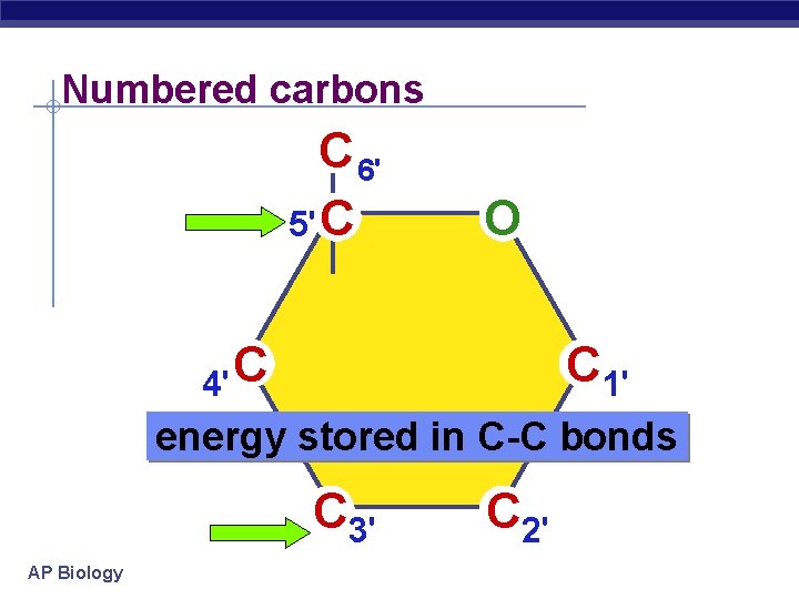 Numbered carbons C 6' 5' C O C 4' C 1' energy stored in