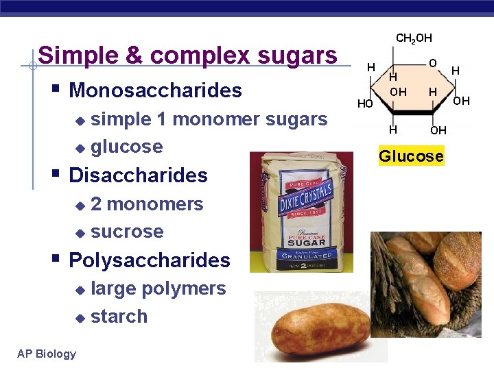 Simple & complex sugars § Monosaccharides simple 1 monomer sugars u glucose u §